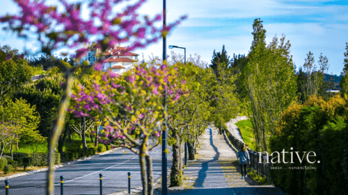PF41349 - Apartamento T0 com jardim, Belas Clube de Campo, Lisboa - Imagem 48