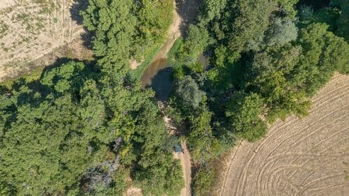 PF41106 - Herdade 176.6 ha, Montemor-o-Novo - Imagem 15