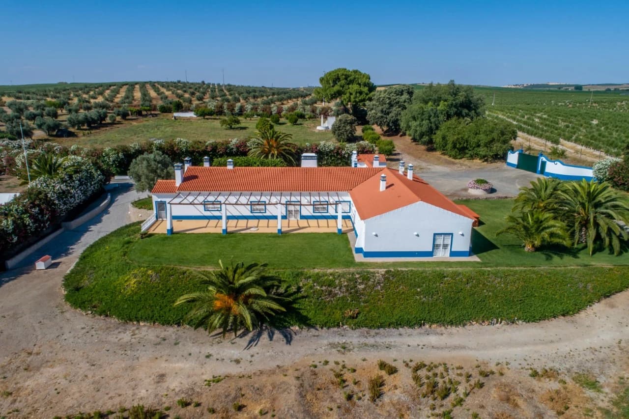 PF41138 - Quinta 29.1 ha, Ferreira do Alentejo - Imagem 3