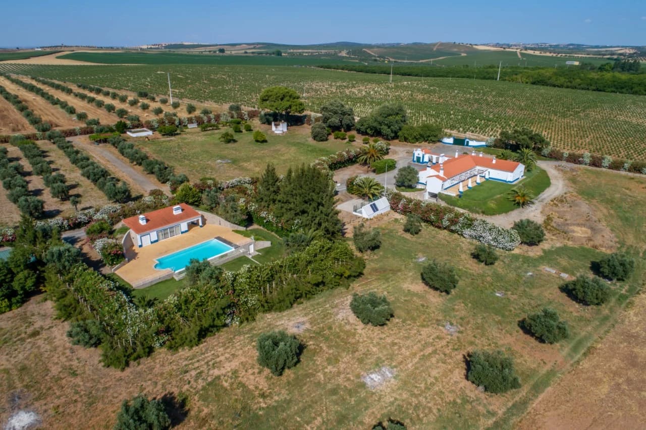 PF41138 - Quinta 29.1 ha, Ferreira do Alentejo - Imagem 34