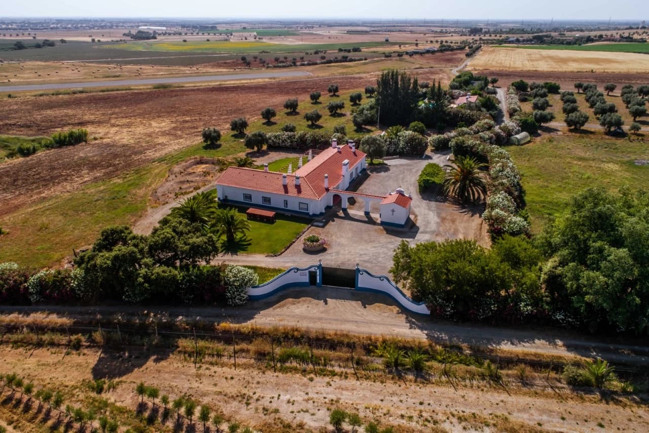 PF41138 - Quinta 29.1 ha, Ferreira do Alentejo - Imagem 27