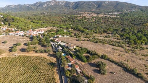 PF41825 - Quinta 9000 m2, Azeitão, Setúbal - Imagem 6