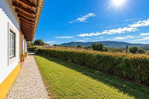 PF41825 - Quinta 9000 m2, Azeitão, Setúbal - Imagem 15