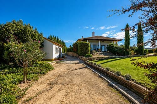 PF41825 - Quinta 9000 m2, Azeitão, Setúbal - Imagem 20